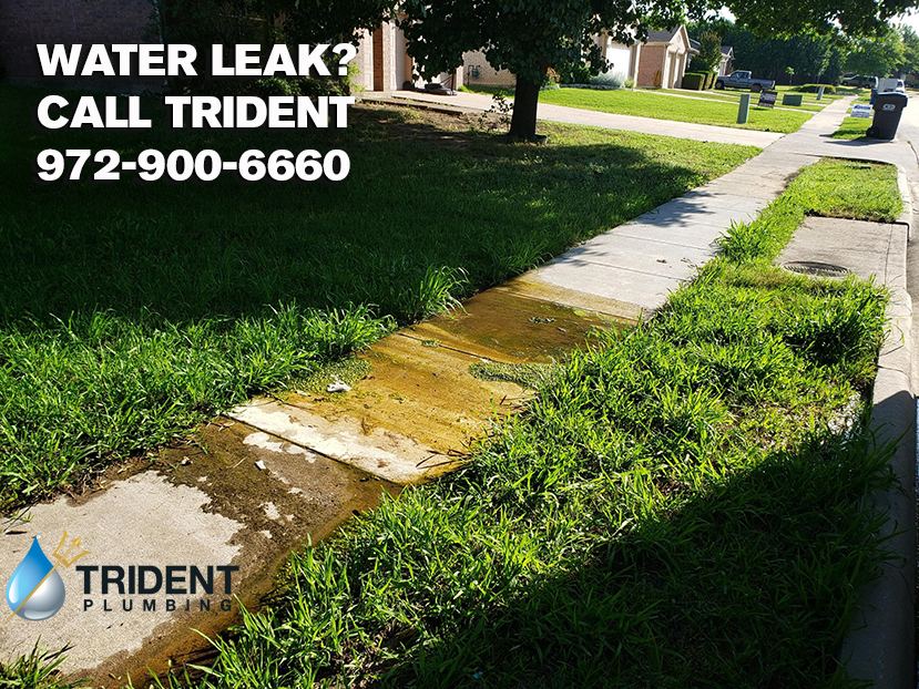 Graphic for Water leak - Call Trident Plumbing